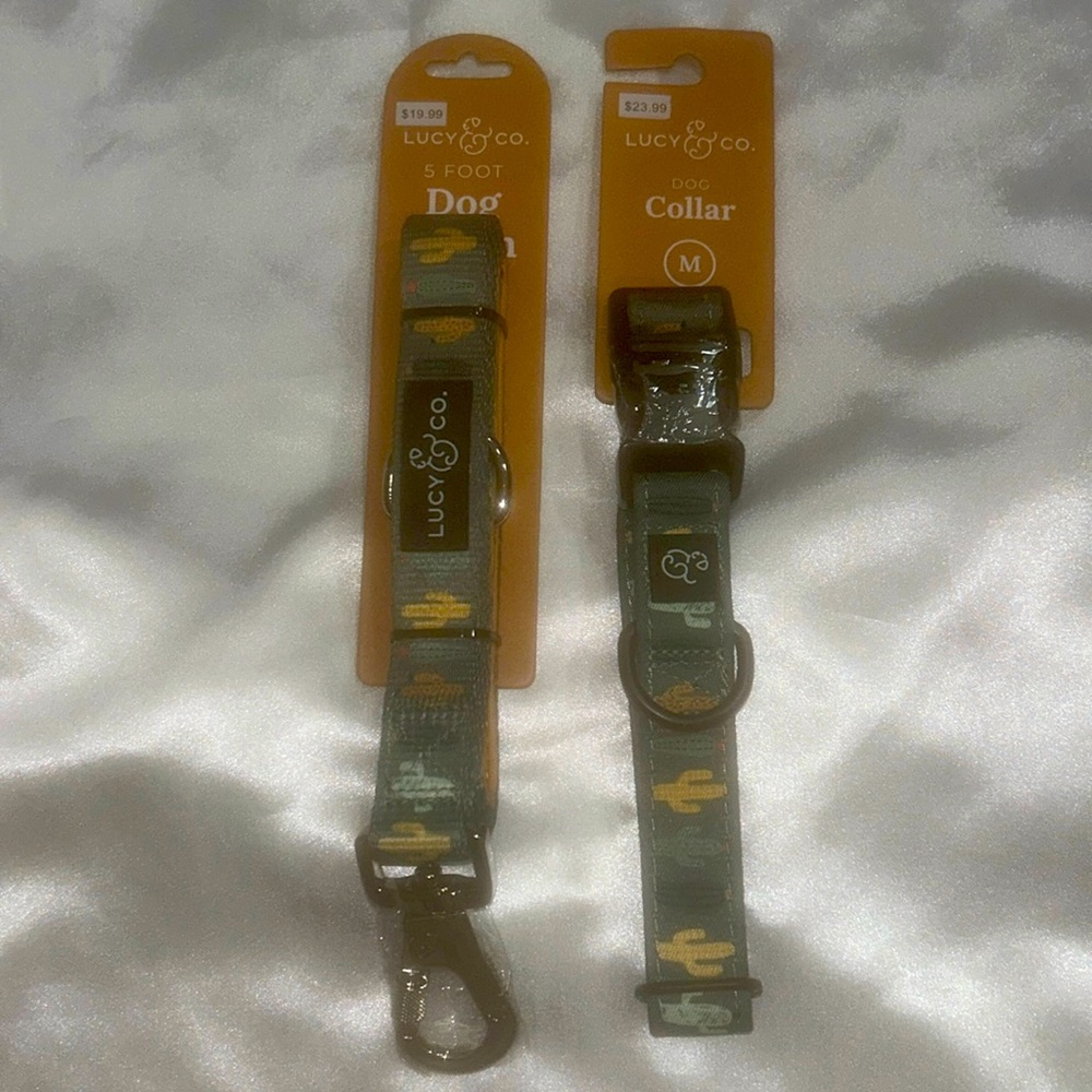 Lucy & Co. Looking Sharp Dog Collar and Leash Set (M)